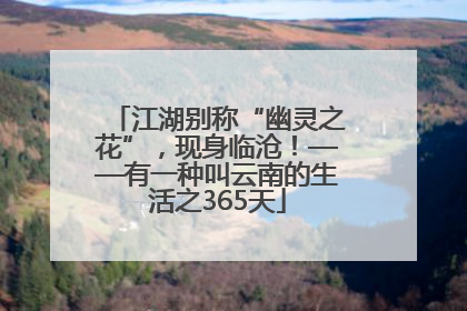 江湖别称“幽灵之花”，现身临沧！——有一种叫云南的生活之365天