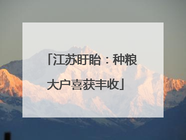 江苏盱眙：种粮大户喜获丰收