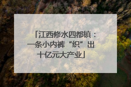 江西修水四都镇：一条小内裤“织”出十亿元大产业