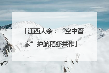 江西大余：“空中管家”护航稻虾共作