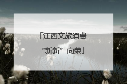 江西文旅消费“新新”向荣