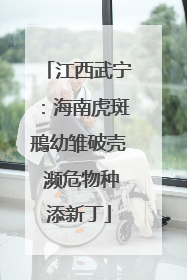 江西武宁：海南虎斑鳽幼雏破壳 濒危物种添新丁