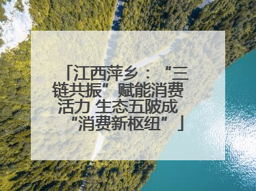 江西萍乡：“三链共振”赋能消费活力 生态五陂成“消费新枢纽”