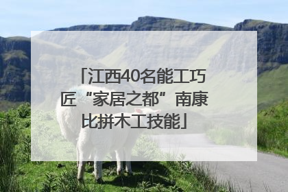 江西40名能工巧匠“家居之都”南康比拼木工技能