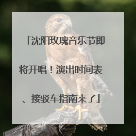 沈阳玫瑰音乐节即将开唱！演出时间表、接驳车指南来了