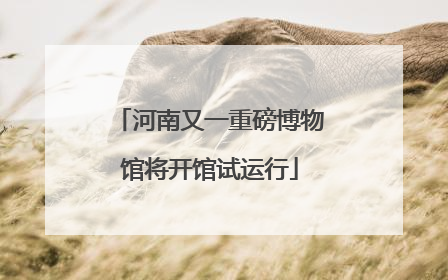 河南又一重磅博物馆将开馆试运行