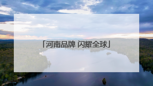 河南品牌 闪耀全球