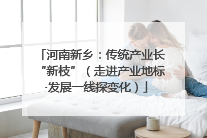 河南新乡：传统产业长“新枝”（走进产业地标·发展一线探变化）