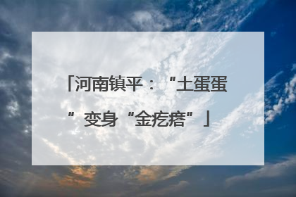 河南镇平：“土蛋蛋”变身“金疙瘩”