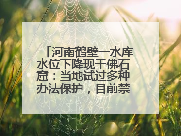 河南鹤壁一水库水位下降现千佛石窟：当地试过多种办法保护，目前禁止打卡