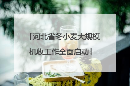 河北省冬小麦大规模机收工作全面启动