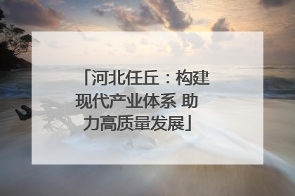 河北任丘：构建现代产业体系 助力高质量发展