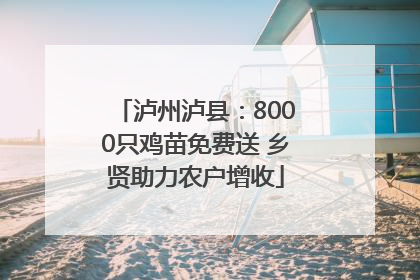 泸州泸县：8000只鸡苗免费送 乡贤助力农户增收