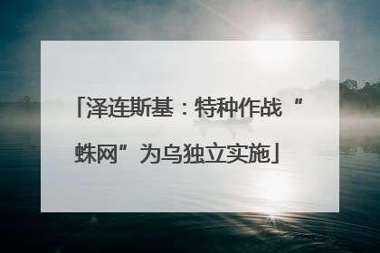 泽连斯基：特种作战“蛛网”为乌独立实施