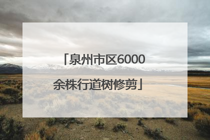 泉州市区6000余株行道树修剪