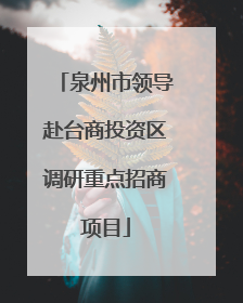 泉州市领导赴台商投资区调研重点招商项目