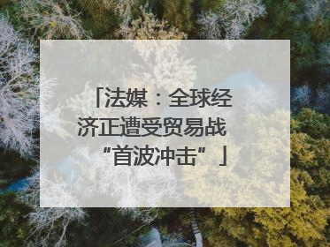 法媒：全球经济正遭受贸易战“首波冲击”
