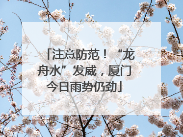 注意防范！“龙舟水”发威，厦门今日雨势仍劲