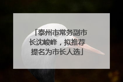 泰州市常务副市长沈峻峰，拟推荐提名为市长人选