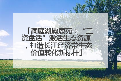洞庭湖麋鹿苑：“三资盘活”激活生态资源，打造长江经济带生态价值转化新标杆