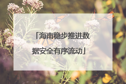 海南稳步推进数据安全有序流动