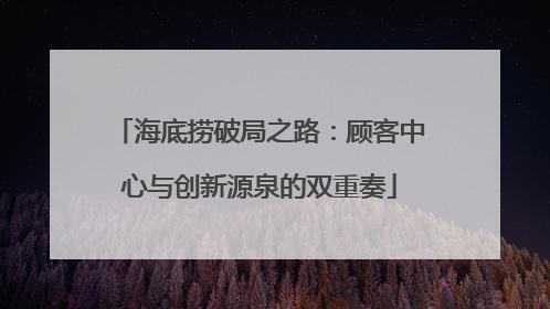 海底捞破局之路：顾客中心与创新源泉的双重奏