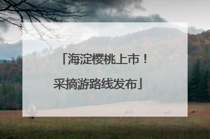 海淀樱桃上市！采摘游路线发布