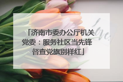 济南市委办公厅机关党委：服务社区当先锋 督查党旗别样红
