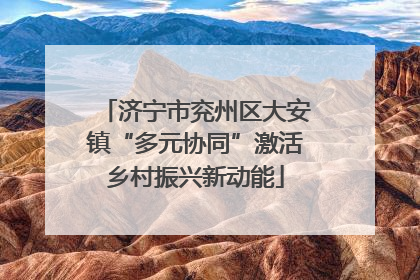 济宁市兖州区大安镇“多元协同”激活乡村振兴新动能