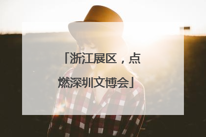浙江展区，点燃深圳文博会