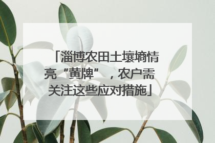 淄博农田土壤墒情亮“黄牌”，农户需关注这些应对措施