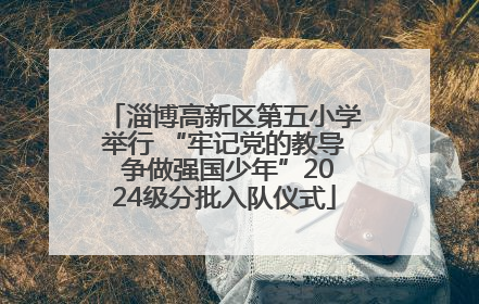 淄博高新区第五小学举行 “牢记党的教导 争做强国少年”2024级分批入队仪式
