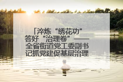 淬炼“绣花功” 答好“治理卷”——全省街道党工委副书记抓党建促基层治理培训示范班侧记