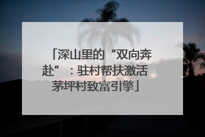深山里的“双向奔赴”：驻村帮扶激活茅坪村致富引擎