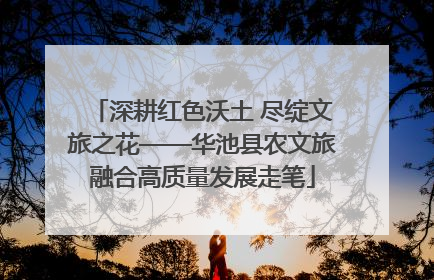 深耕红色沃土 尽绽文旅之花——华池县农文旅融合高质量发展走笔