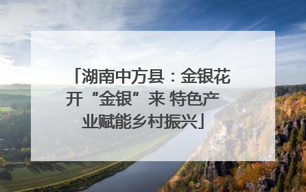 湖南中方县：金银花开“金银”来 特色产业赋能乡村振兴