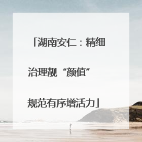 湖南安仁：精细治理靓“颜值” 规范有序增活力