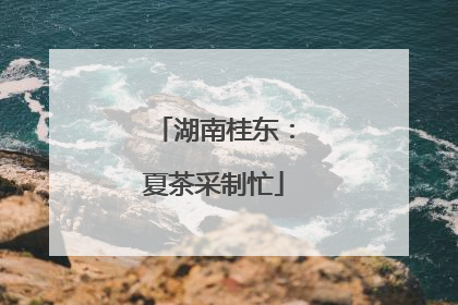 湖南桂东：夏茶采制忙
