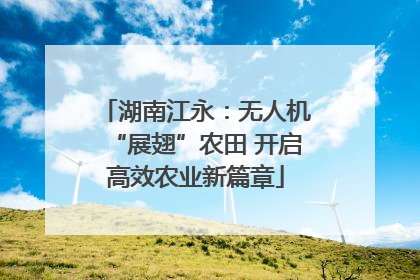 湖南江永：无人机“展翅”农田 开启高效农业新篇章