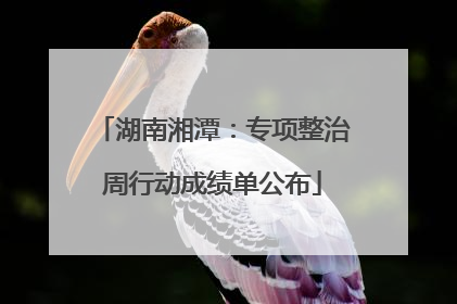 湖南湘潭：专项整治周行动成绩单公布