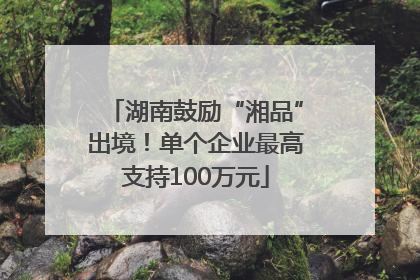 湖南鼓励“湘品”出境！单个企业最高支持100万元
