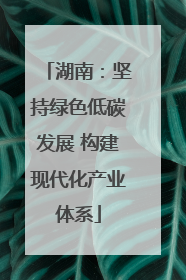 湖南：坚持绿色低碳发展 构建现代化产业体系
