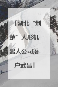 湖北“荆楚”人形机器人公司落户武昌