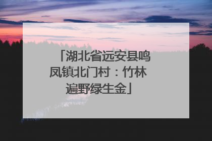 湖北省远安县鸣凤镇北门村：竹林遍野绿生金