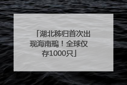 湖北秭归首次出现海南鳽！全球仅存1000只