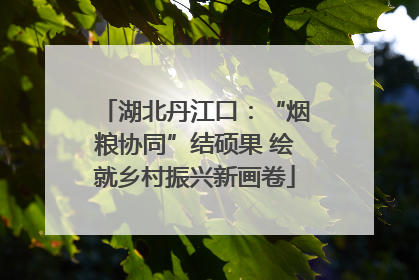 湖北丹江口：“烟粮协同”结硕果 绘就乡村振兴新画卷