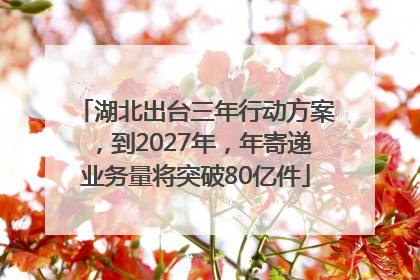 湖北出台三年行动方案，到2027年，年寄递业务量将突破80亿件