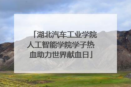 湖北汽车工业学院人工智能学院学子热血助力世界献血日