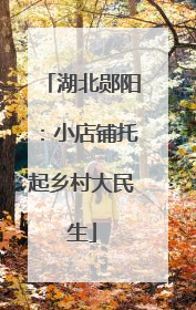 湖北郧阳：小店铺托起乡村大民生