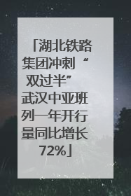 湖北铁路集团冲刺“双过半” 武汉中亚班列一年开行量同比增长72%